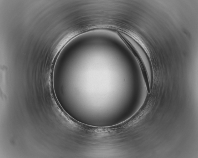 X0000091100906200708061417