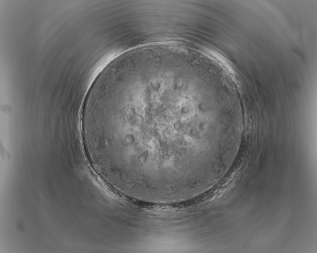 X0000091100907200708061417