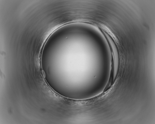 X0000091100908200708061417