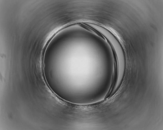 X0000091100910200708061417