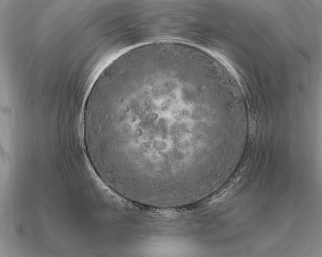 X0000091100911200708061417