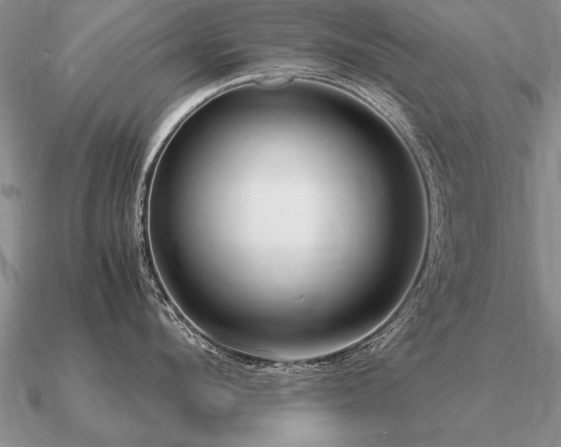 X0000091100912200708061417