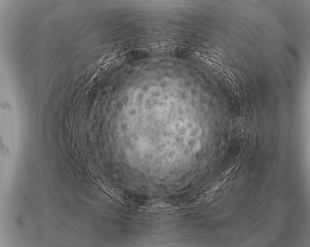 X0000091100913200708061416