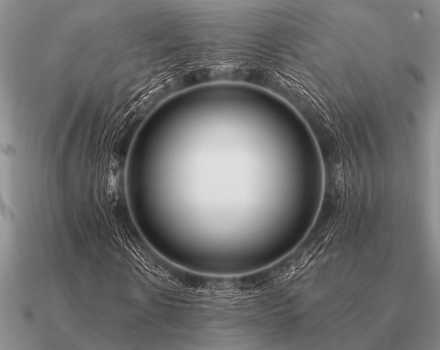 X0000091100914200708061416