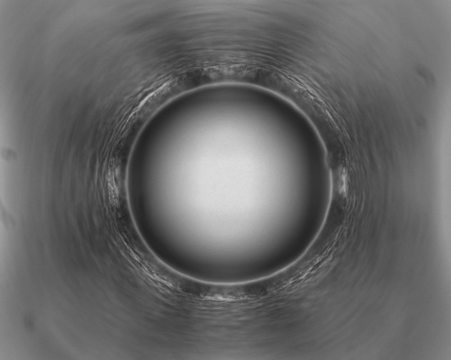 X0000091100915200708061416