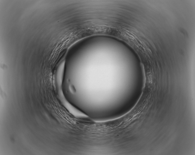 X0000091100916200708061416