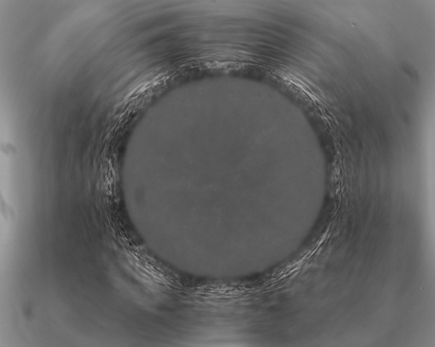 X0000091100917200708061416