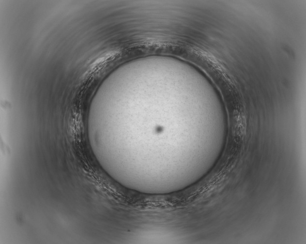 X0000091100918200708061416