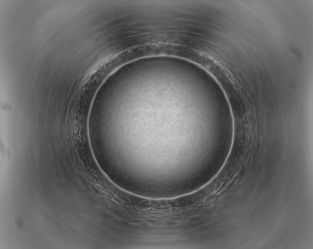 X0000091100919200708061416