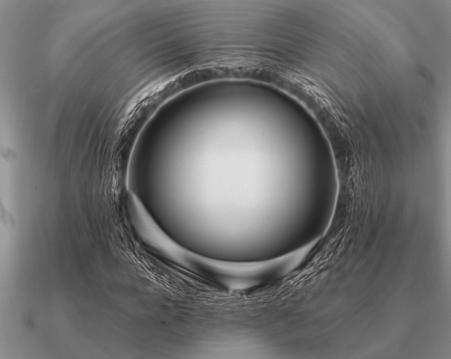 X0000091100920200708061416