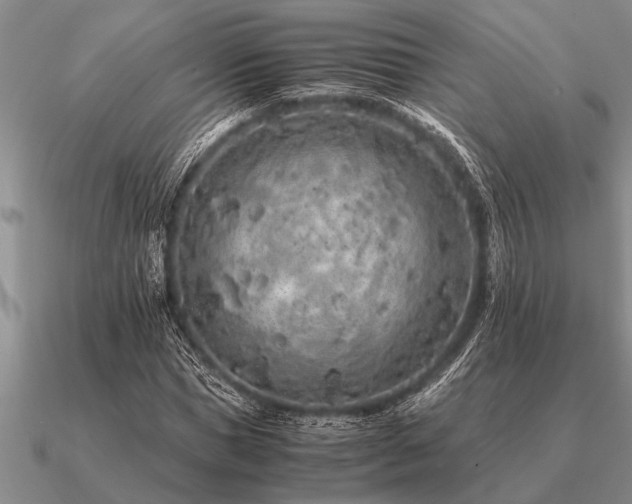 X0000091100921200708061416