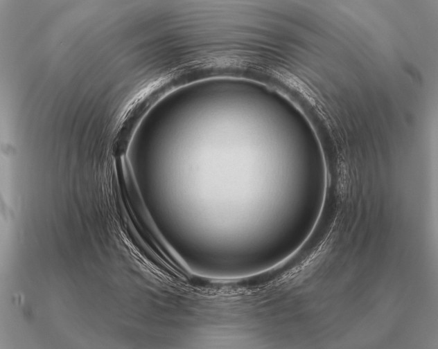 X0000091100922200708061416