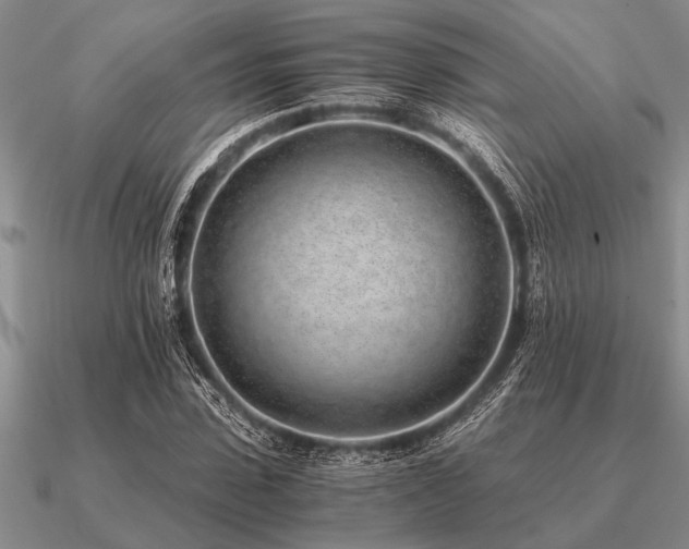 X0000091100923200708061416