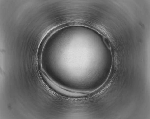 X0000091100924200708061416