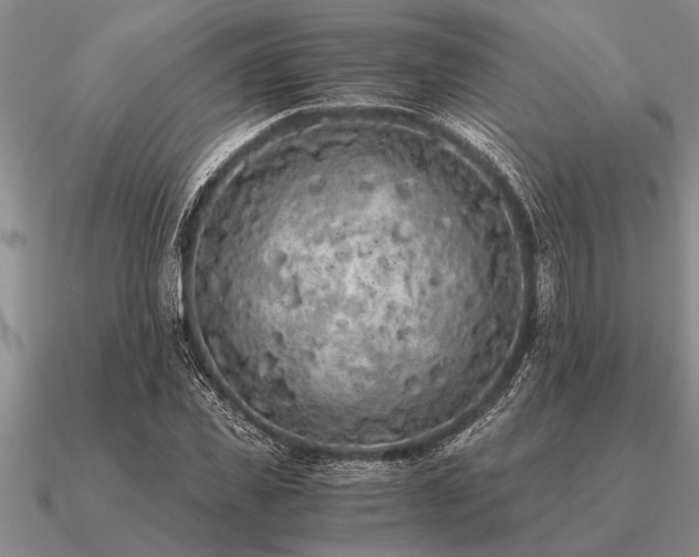 X0000091100925200708061416