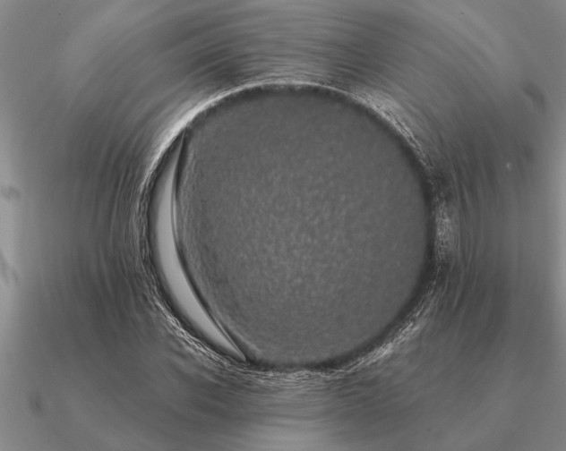 X0000091100926200708061416