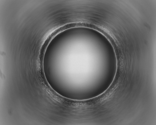 X0000091100927200708061417