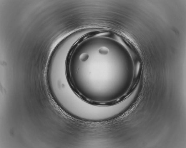 X0000091100928200708061417