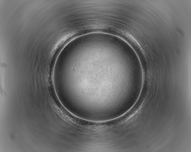 X0000091100930200708061417