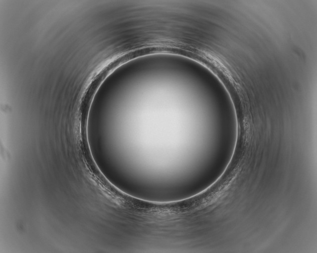 X0000091100931200708061417