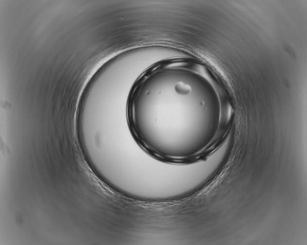 X0000091100932200708061417