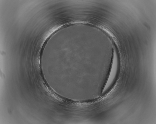 X0000091100933200708061417