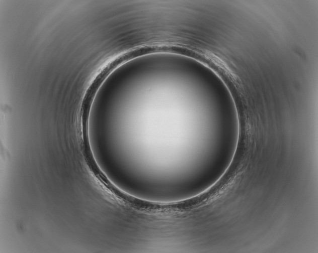 X0000091100934200708061417