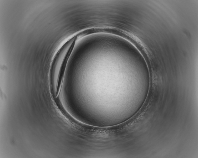 X0000091100935200708061417