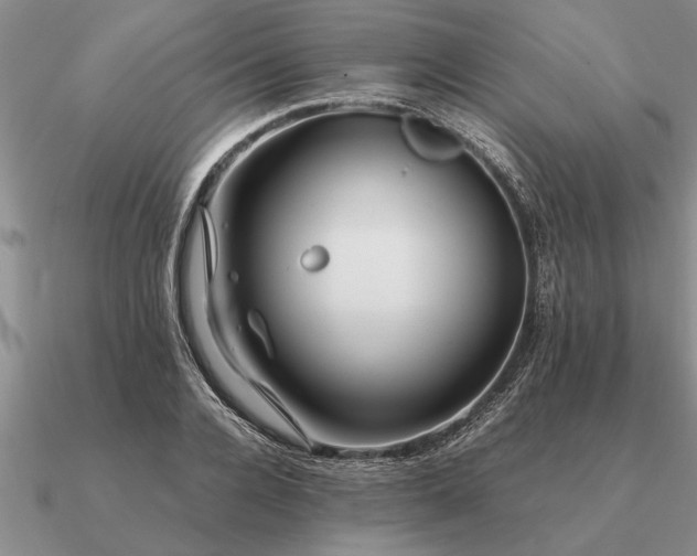 X0000091100936200708061417