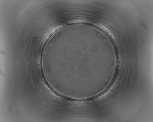 X0000091100937200708061417