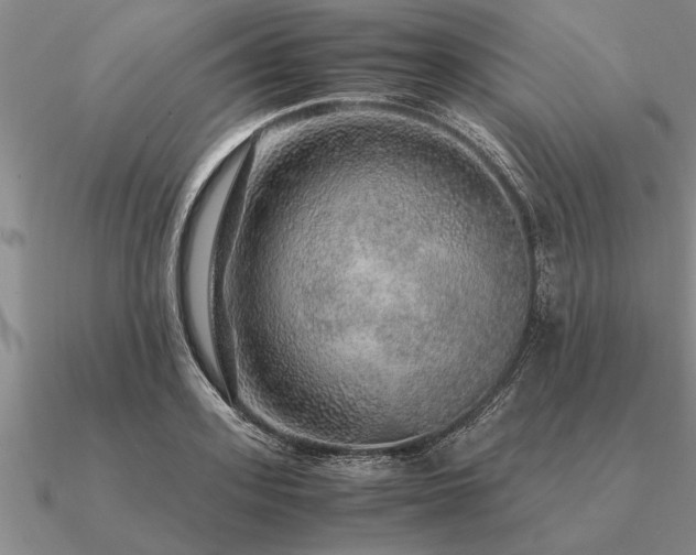 X0000091100939200708061417