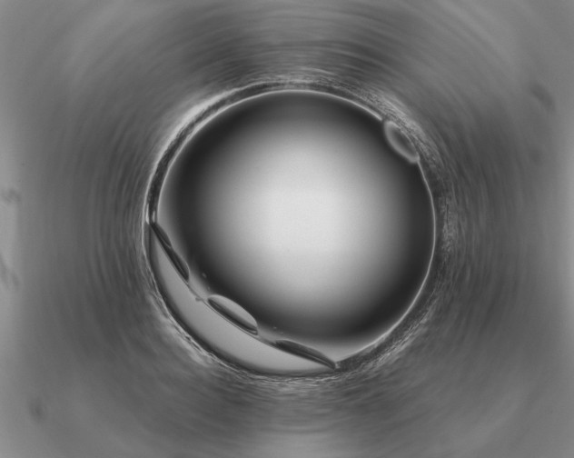 X0000091100940200708061417