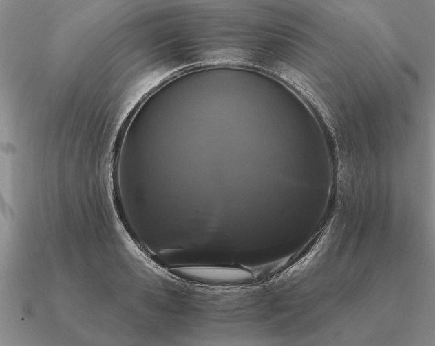 X0000091100941200708061417