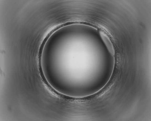 X0000091100942200708061417