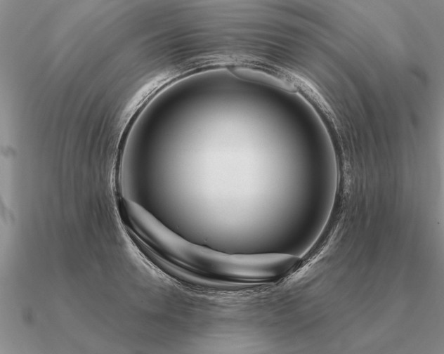 X0000091100946200708061417