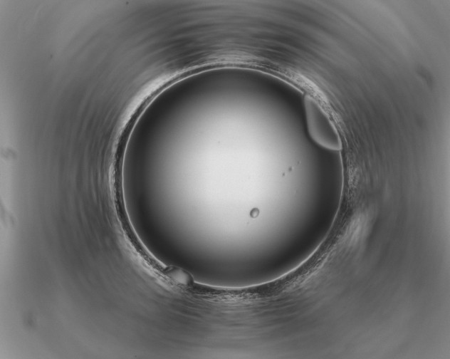 X0000091100947200708061417