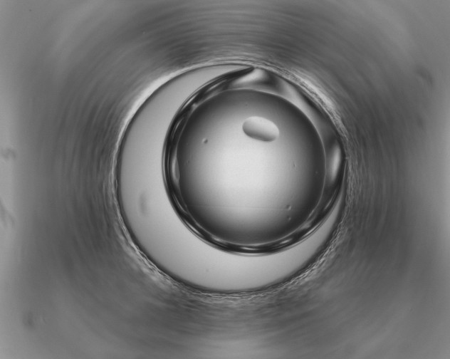 X0000091100948200708061417