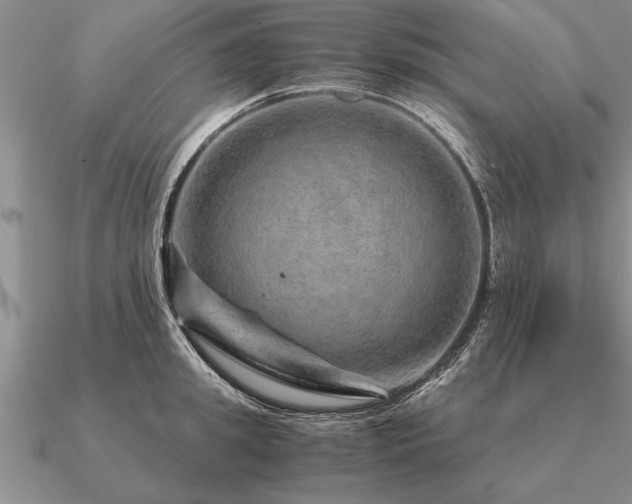 X0000091100949200708061417