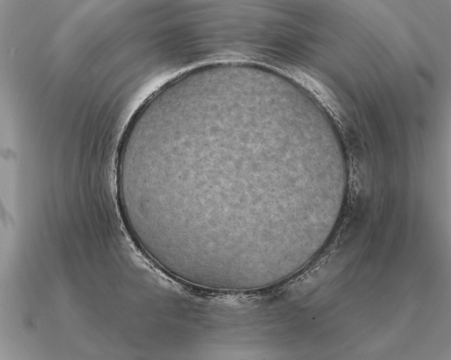 X0000091100950200708061417