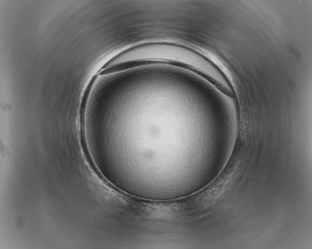 X0000091100951200708061417