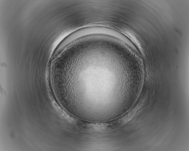 X0000091100952200708061417