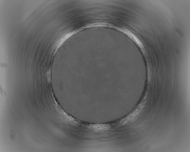 X0000091100953200708061417