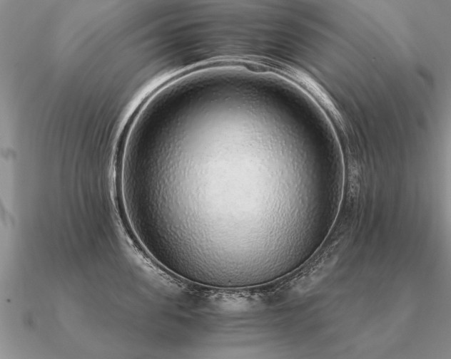 X0000091100955200708061417