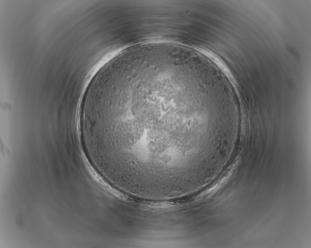 X0000091100957200708061417
