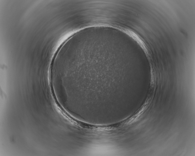 X0000091100958200708061417