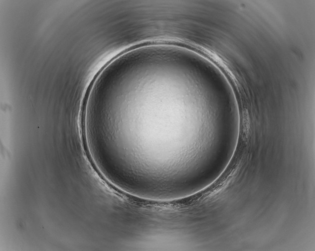 X0000091100959200708061417