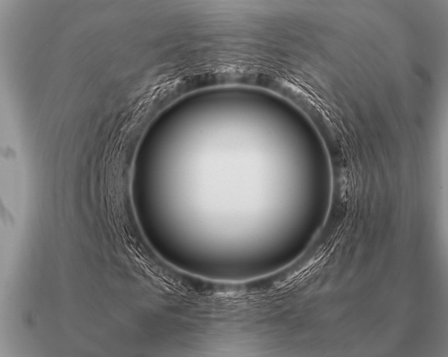 X0000091100961200708061416