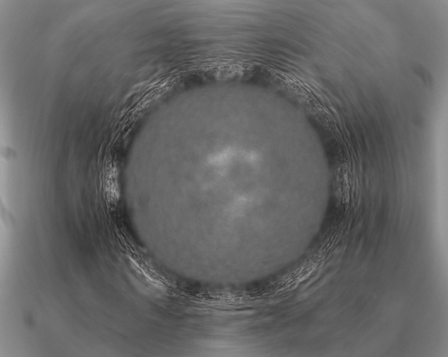 X0000091100962200708061416