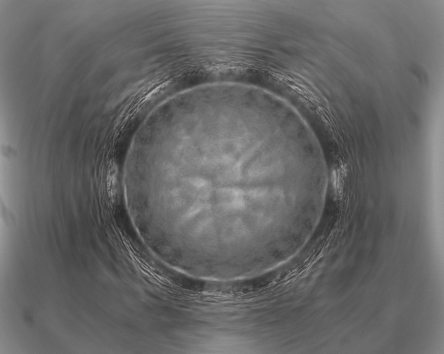 X0000091100963200708061416