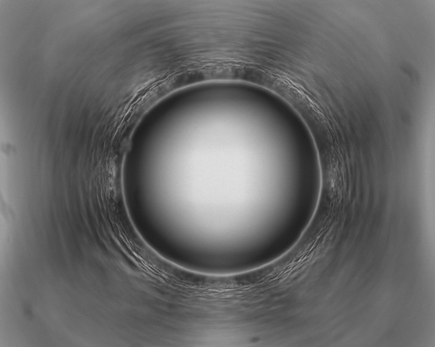 X0000091100964200708061416